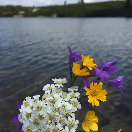 Milchini Gæstehus